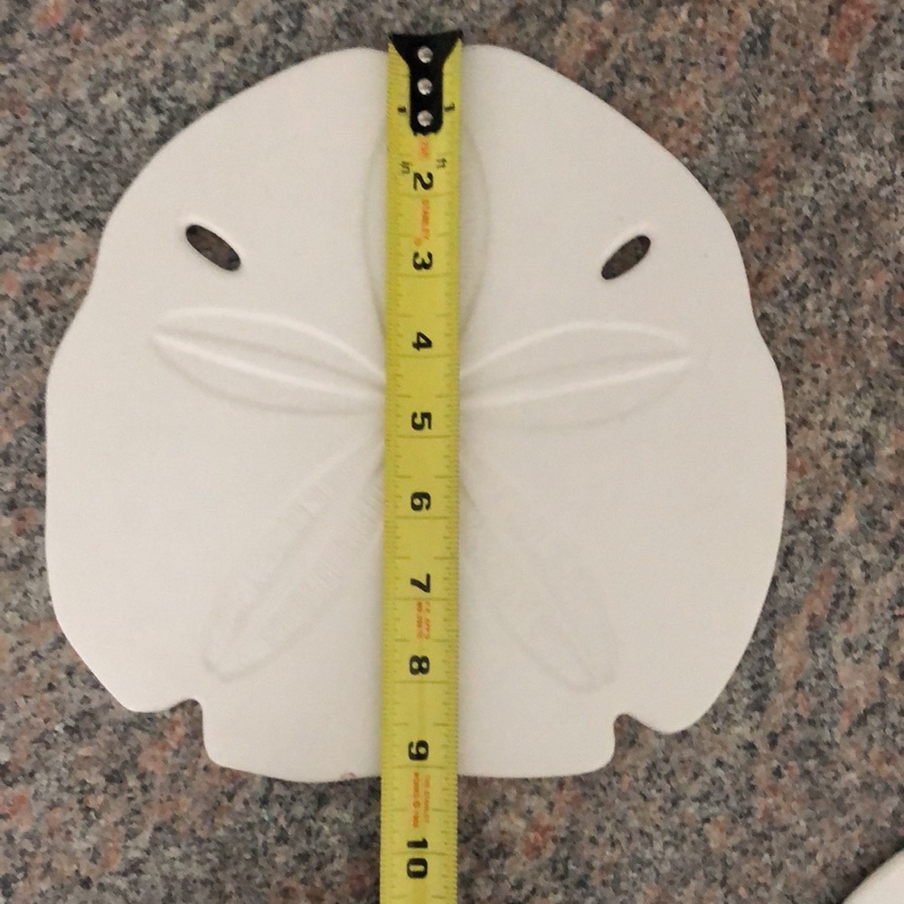 2pc Sand Dollar DECOR - Picture 2 of 8